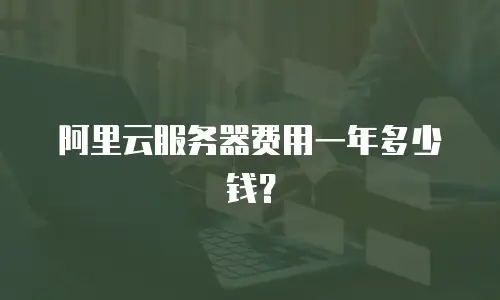 阿里云服务器费用一年多少钱？