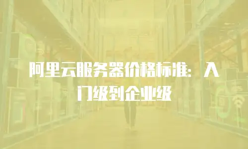 阿里云服务器价格标准：入门级到企业级