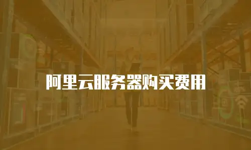 阿里云服务器购买费用