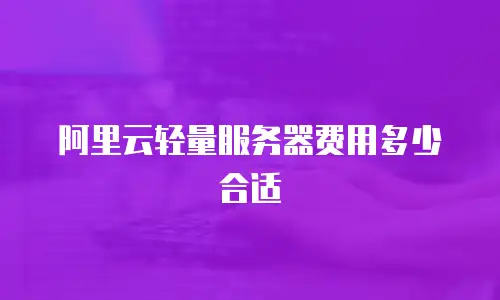 阿里云轻量服务器费用多少合适