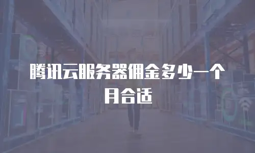 腾讯云服务器佣金多少一个月合适