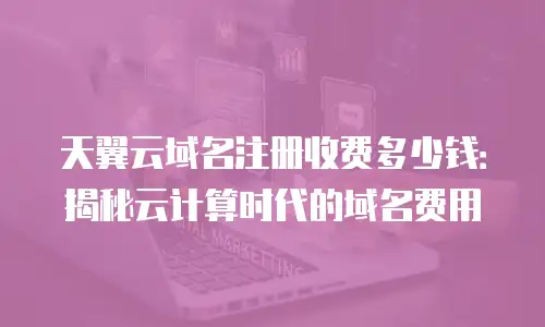 天翼云域名注册收费多少钱：揭秘云计算时代的域名费用