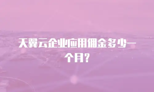 天翼云企业应用佣金多少一个月？