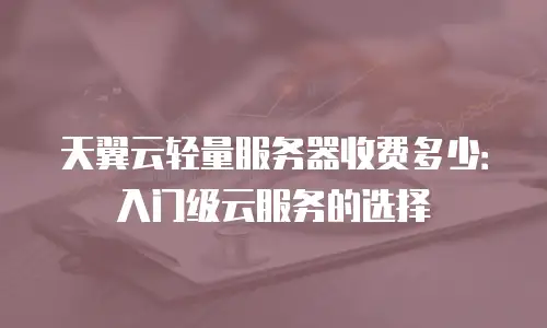 天翼云轻量服务器收费多少：入门级云服务的选择
