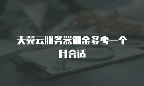 天翼云服务器佣金多少一个月合适