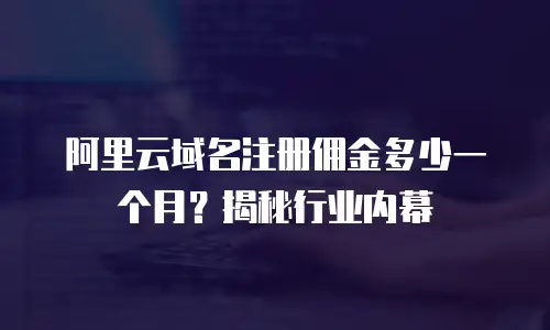 阿里云域名注册佣金多少一个月？揭秘行业内幕