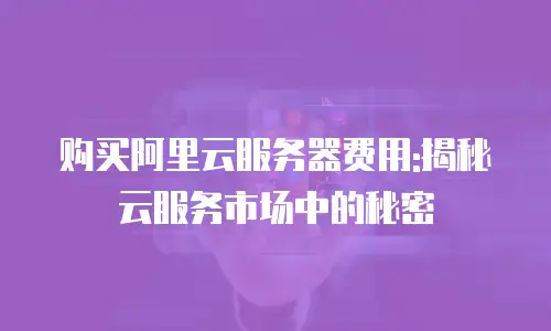 购买阿里云服务器费用:揭秘云服务市场中的秘密