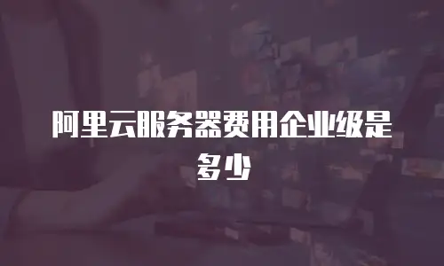 阿里云服务器费用企业级是多少