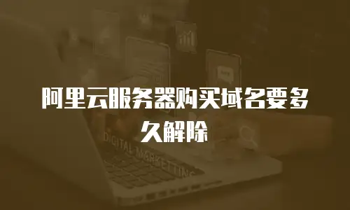 阿里云服务器购买域名要多久解除