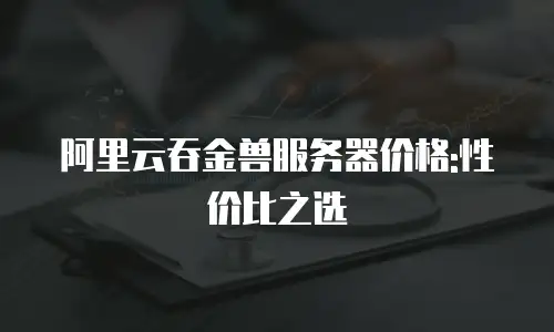 阿里云吞金兽服务器价格:性价比之选