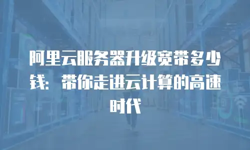 阿里云服务器升级宽带多少钱：带你走进云计算的高速时代