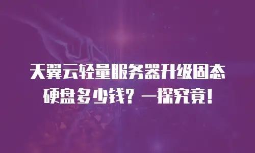 天翼云轻量服务器升级固态硬盘多少钱？一探究竟！