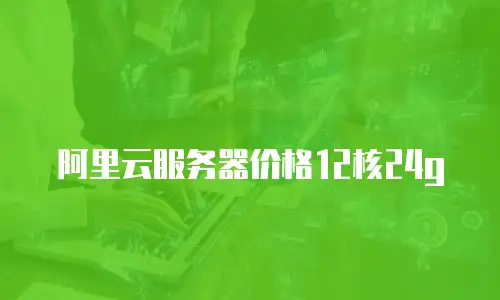 阿里云服务器价格12核24g