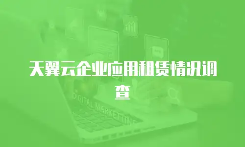 天翼云企业应用租赁情况调查