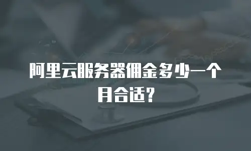 阿里云服务器佣金多少一个月合适？