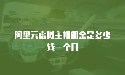 阿里云虚拟主机佣金是多少钱一个月