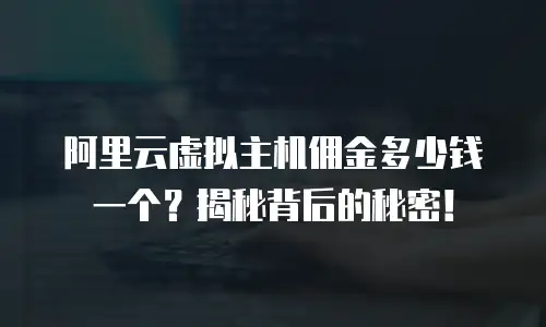 阿里云虚拟主机佣金多少钱一个？揭秘背后的秘密！