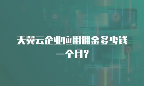 天翼云企业应用佣金多少钱一个月？