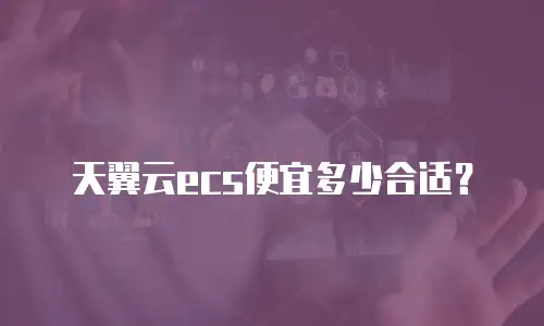 天翼云ecs便宜多少合适？