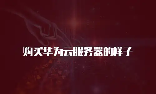 购买华为云服务器的样子