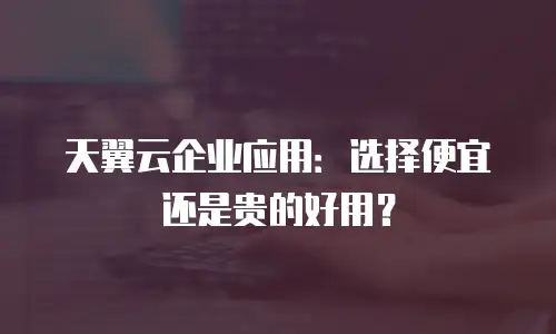 天翼云企业应用：选择便宜还是贵的好用？