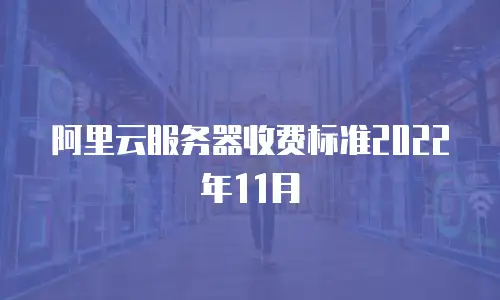 阿里云服务器收费标准2022年11月