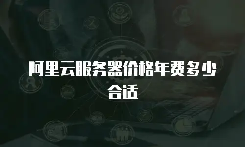阿里云服务器价格年费多少合适