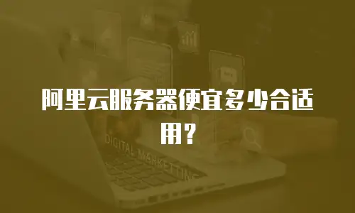 阿里云服务器便宜多少合适用？