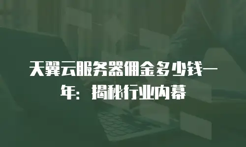 天翼云服务器佣金多少钱一年：揭秘行业内幕