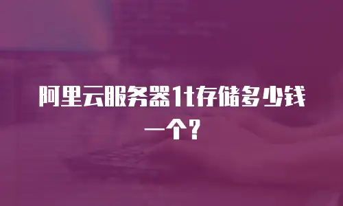 阿里云服务器1t存储多少钱一个？