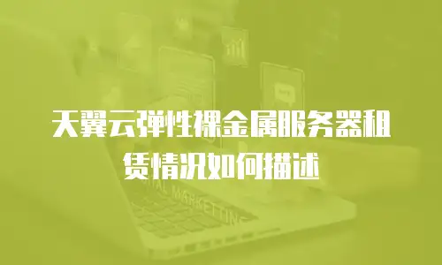 天翼云弹性裸金属服务器租赁情况如何描述