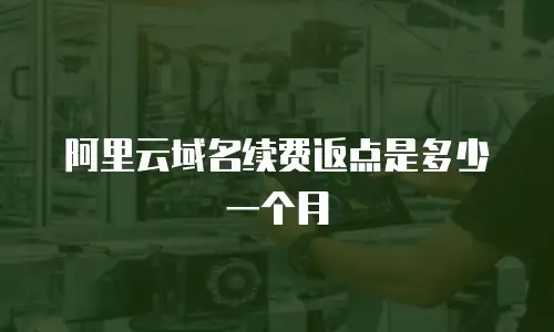 阿里云域名续费返点是多少一个月