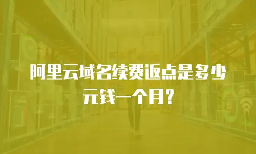 阿里云域名续费返点是多少元钱一个月？