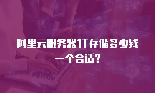 阿里云服务器1T存储多少钱一个合适？