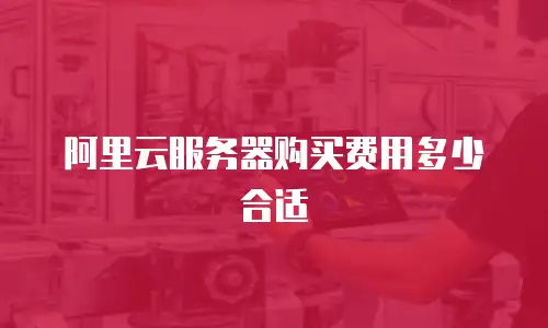 阿里云服务器购买费用多少合适