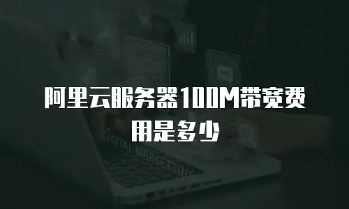 阿里云服务器100M带宽费用是多少