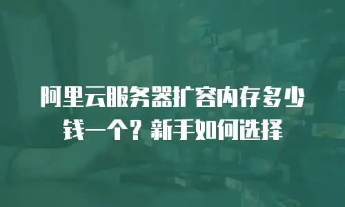 阿里云服务器扩容内存多少钱一个？新手如何选择