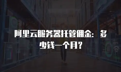 阿里云服务器托管佣金：多少钱一个月？
