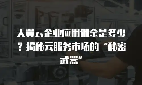天翼云企业应用佣金是多少？揭秘云服务市场的“秘密武器”