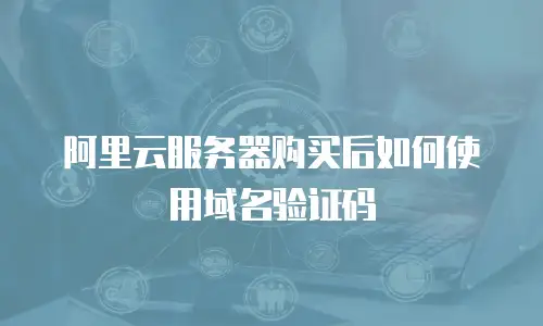 阿里云服务器购买后如何使用域名验证码