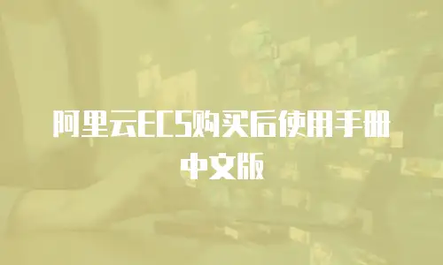 阿里云ECS购买后使用手册中文版