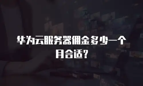 华为云服务器佣金多少一个月合适？