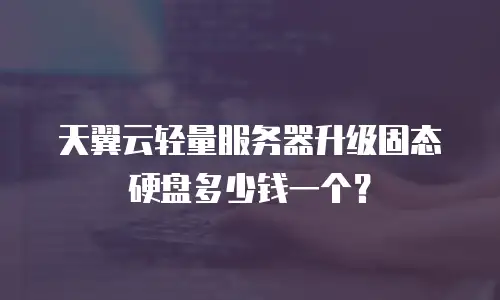 天翼云轻量服务器升级固态硬盘多少钱一个？