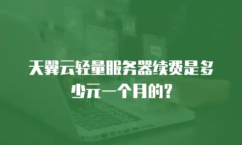 天翼云轻量服务器续费是多少元一个月的？