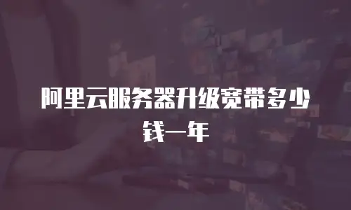 阿里云服务器升级宽带多少钱一年