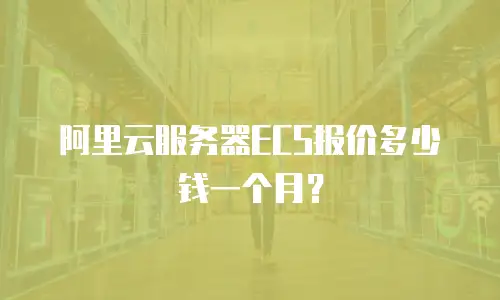 阿里云服务器ECS报价多少钱一个月？
