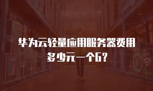 华为云轻量应用服务器费用多少元一个G？