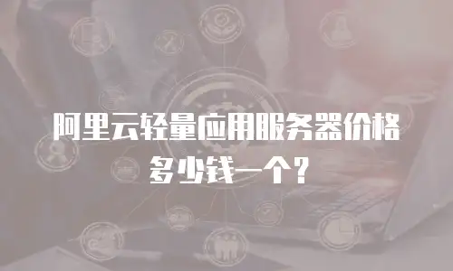 阿里云轻量应用服务器价格多少钱一个？