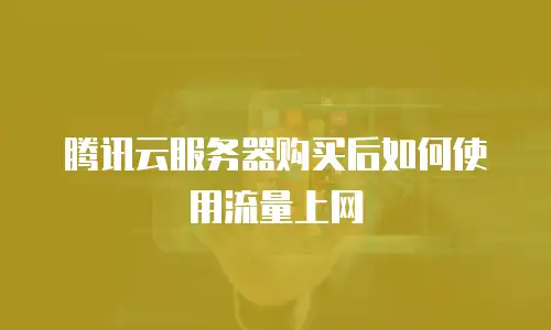 腾讯云服务器购买后如何使用流量上网
