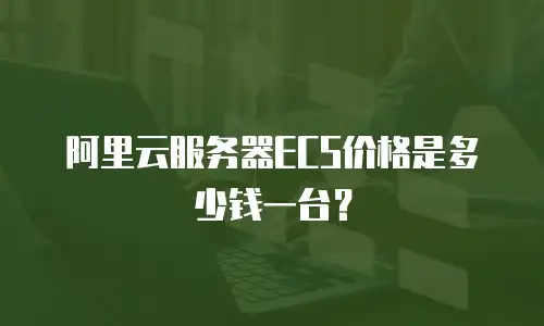 阿里云服务器ECS价格是多少钱一台？